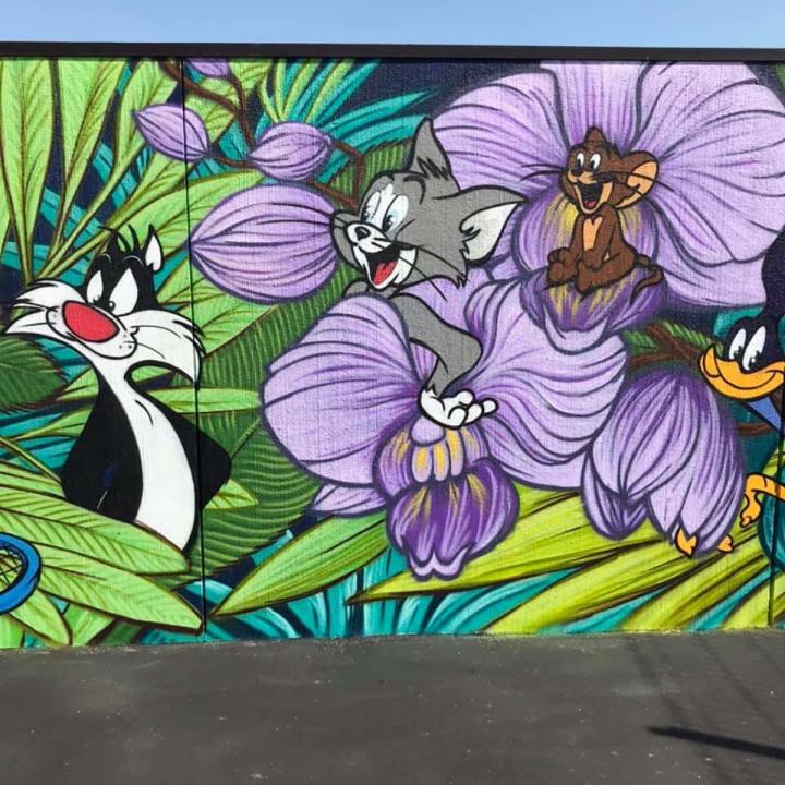 Fresques murales Clermont-Ferrand